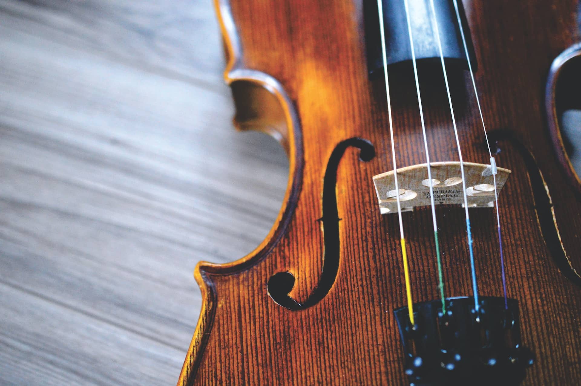 close up violin 1