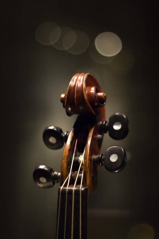 photo of a violin