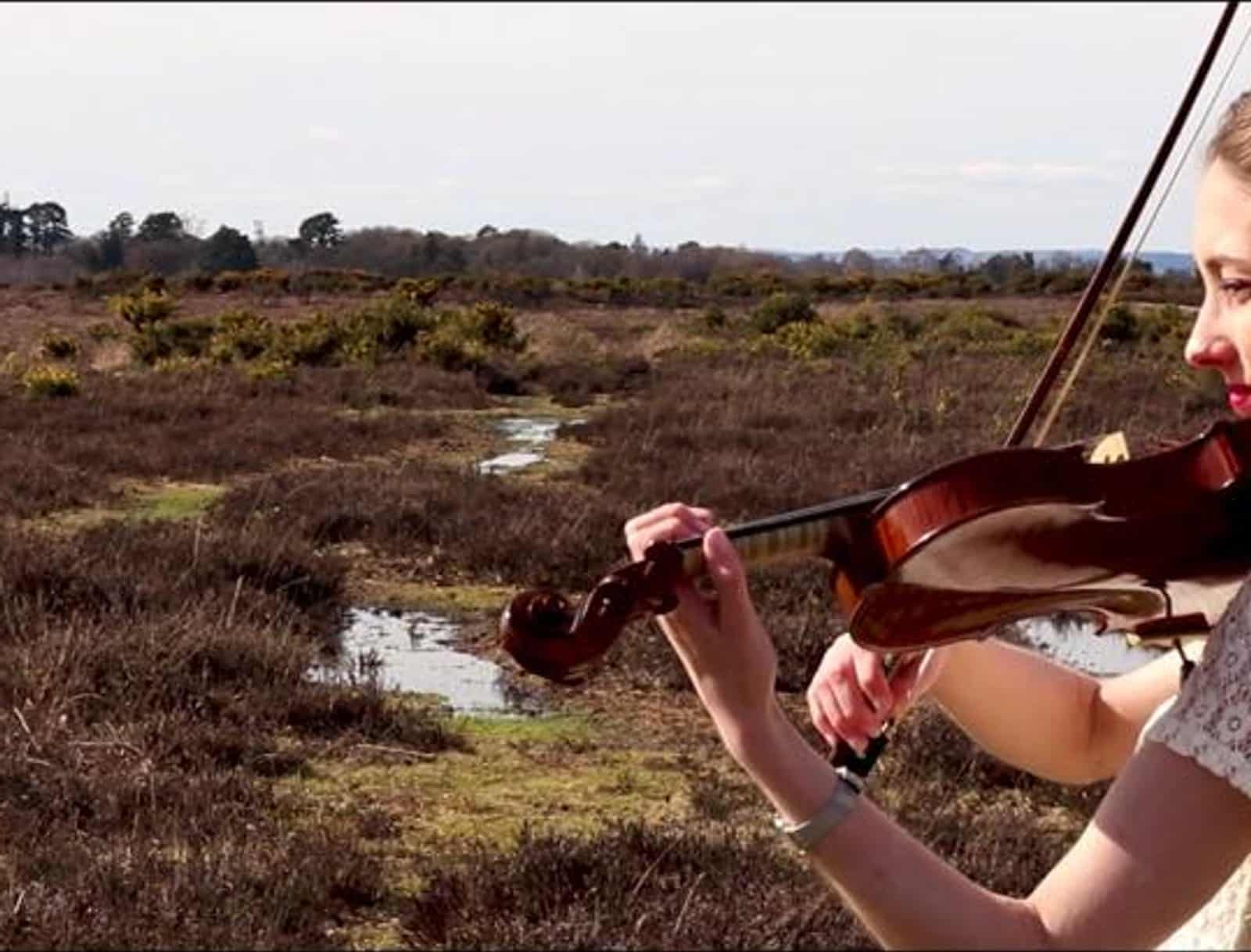 Cantata playing the violin in the countryside